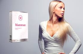 Mammax - no farmacia - onde comprar - no Celeiro - em Infarmed - no site do fabricante?